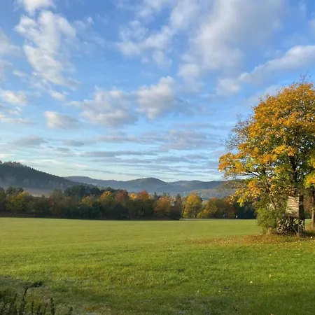 Near The Area